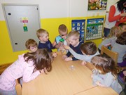 Pozorujeme jak klíčí a rostou semínka